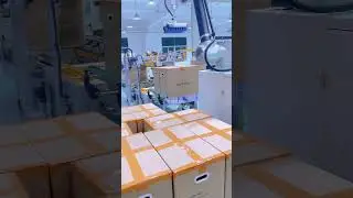 Intelligent collaborative palletizing of large cardboard boxes for home appliances
