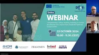 Complementary Labour Mobility Pathways in Europe and Beyond: Lessons from DT4E (thematic webinar)