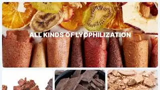 Industrial Freeze Dryer | Pet Food | Fruit | Meat | Veggies | More |