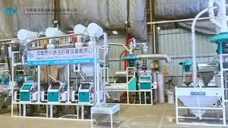 10 ton wheat flour stone mill and roller mill milling machine
