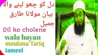 Dil ko chu lene wala bayan |maulana tariq Jameel.#ISLAMI LIFE #tariqjameel #tariqjameelbayan