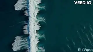 Butterfly desire music video