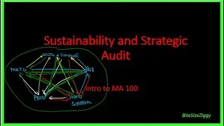 Intro to Sustainability and Strategic Audit (MA 100)