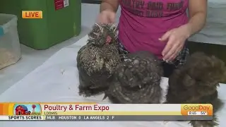 Poultry and Farm Expo