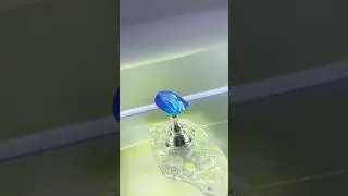 У меня ещё одна помощница / #маникюр