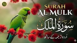 Surah Al-Mulk (سورة الملك) | Peaceful Quran Recitation for Heart Healing & Sleep | Furqan Studio