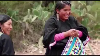 INSUPERABLES 2019 imallata qhawamuan