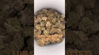 THCasmallbuds lobster butter#explore #reels #thcareview #viral