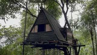 Life in a Very Dangerous Wild Forest and Building a Tree Hut
