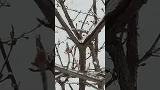 УСЕ ПОКРИТЕ ЛЬОДОМ, АБСОЛЮТНО ВСЕ...