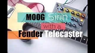 Fender Telecaster & Moog Sirin