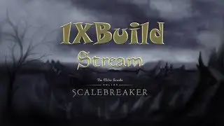 Yaagrr vs Классы? Нет, не слышали! Scalebreaker PTS 5.1.1.
