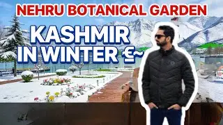 NEHRU BOTANICAL GARDEN KASHMIR ❄️ WINTER SNOW MAGIC! Full December Vlog
