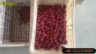 dates pitting machine, date palm pit removing machine, Jujube kernel removing machine