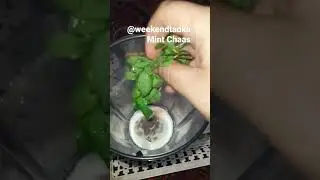 Mint Chaas for Summers #viral #youtube #youtubeshort #shortsvideo #shortsfeed #viralvideo