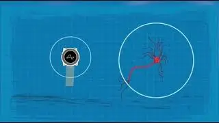 Neuralink Илона Маска вживит мозговые импланты 11&nbsp;пациентам в&nbsp;2024 году, &mdash; Bloomberg.