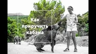 Милли парк и пещера Зевса (Dilek National Park and Cave Zeus)