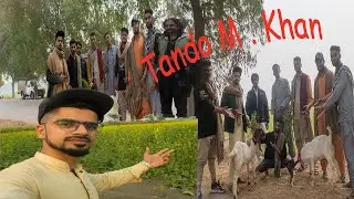 VILLAGE VLOG |VISIT Tando Muhammad Khan  | VILLAGE PAKISTAN