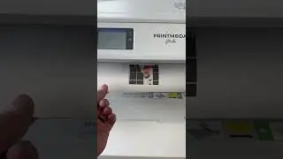 Brother Printmoda fabric printer.  Playing with some kids pics #cynthiasofbend. Like and subscribe!
