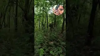 #commando #army #indianarmy #armylover #foji new songs