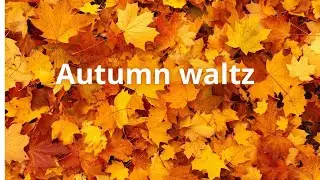 Autumn waltz💃relaxing autumn music👍40-minute walk in the forest