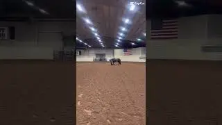 Guuuyss I&rsquo;m excited for the Fort Worth stock show and the Houston stock show you??