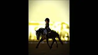 STRUT ft: ALTAN #strut #horse #equestrian #horseedits #edit #strideway #strideaway #horse #dressage
