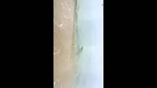 Croc sighting off Kewarra Beach Cairns Australia