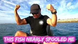 This Fish Nearly Spooled Me Fishing Rockingham Perth