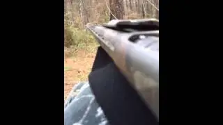 Hung up gobbler