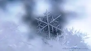 A Moment of STEM: Snow