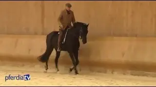 Seitengänge & Vorbereitung auf fliegende Galoppwechsel | High Noon | Philippe Karl
