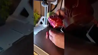 3dHojor Silk filament test #3dprinting #3dhojor #filament #silk #penholder
