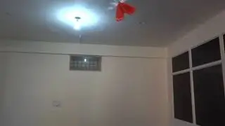 RC Micro Ornithopter Demo Flight - Avian Workshops