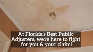 How Can I Find the Best Public Adjuster in Boca Raton? | Florida&rsquo;s Best Public Adjusters