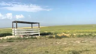 Mt. Sunflower - The Great 48