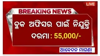 Odisha Block Level Officer Post Requirement 2024//Odisha Govt jobs vacancy2024!Block Level govt jobs