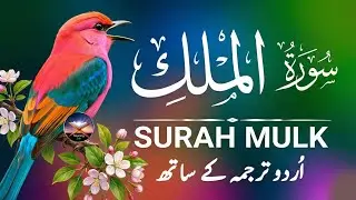 Surah Al-Mulk سورة الملك | Heart-Calming Recitation for Protection, Peace & Night | #surahmulk