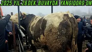 BOZOR NARHLARI BUVAYDA🇺🇿 YANGIQORGʻON BOZORI 2025 28- DEK