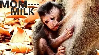 MOM...MILK || BABY DAX HUNGRY MILK AND BABY COLD PLEASE WARM ME || THANK YOU MOM
