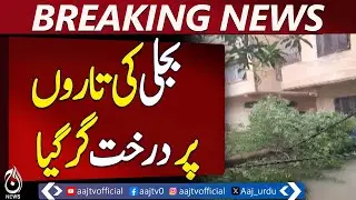 Tree Falls on Wires, Power Outage in Karachi - Pakistan news