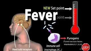 Fever | Symptoms and Causes | Why do we get Fever ? | Immune System | Immunity