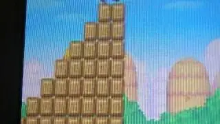 Robster the Video Game Critic New Super Mario Brothers