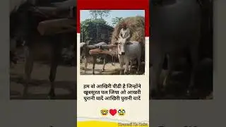 आखरी पुरानी यादें के हम ओ पीढी हैं🛕💒🏰🌊🏞️🏡🤵🏻⛪📸 👰🏻🕰️🥸&hearts;️🤓 #viral #old #lorn #time #short #video