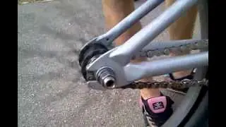 Shadow Raptor hub sound.