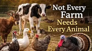 Why Not Every Farm Should Keep Every Animal (And Why That’s Okay)