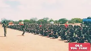 ijifani WABO