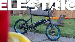 Full-Sized 