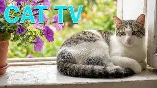 Успокаивающая музыка для кошек &mdash; расслабление, глубокий сон, снятие стресса, спокойная фортепианная