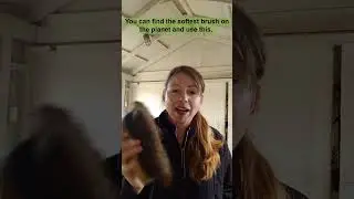 Grooming and Caring for the Sensitive Horse